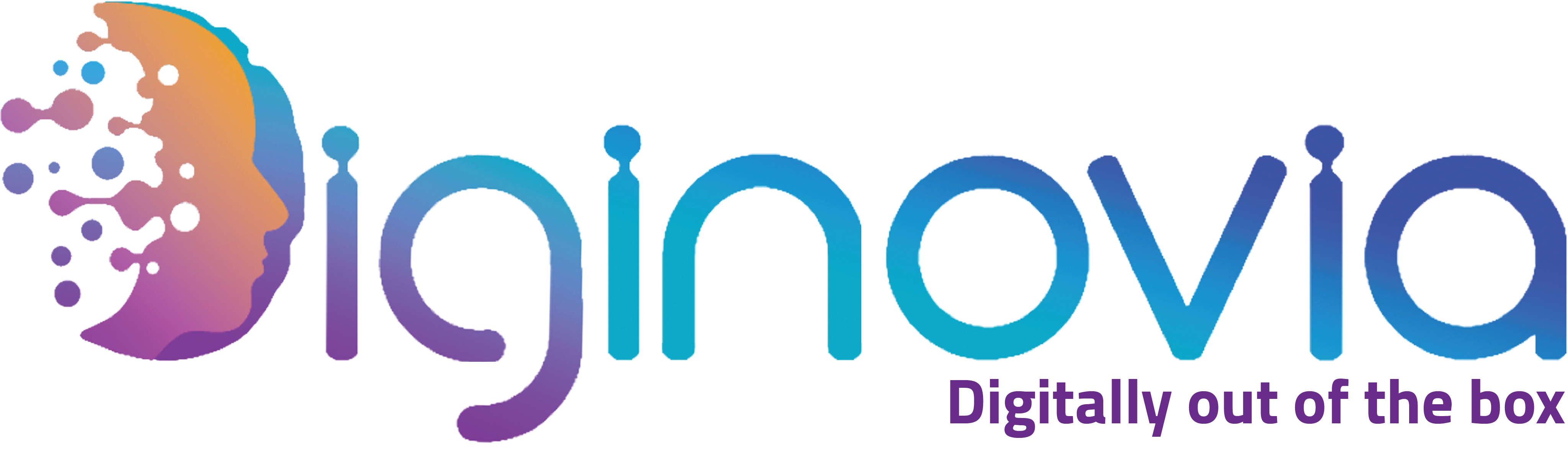 شركة ديجينوفيا الشريك التقني — Diginovia Official Technology Partner